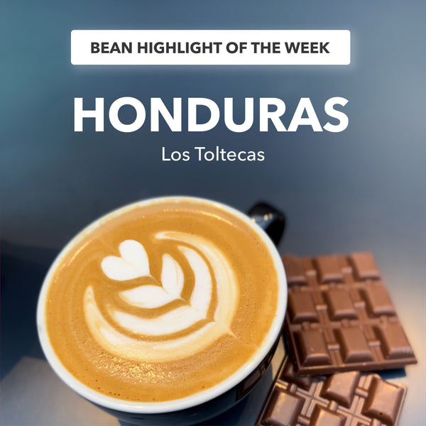 Honduras - This Weeks Bean Highlight
